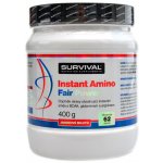 Survival Instant amino 400 g – Hledejceny.cz