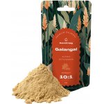 Canntropy galgán lékařský (Alpinia officinarum), extrakt 10:1, 10 - 100 g 25 grams – Hledejceny.cz