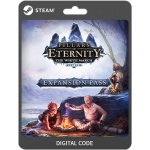 Pillars of Eternity: The White March Expansion Pass – Hledejceny.cz