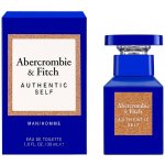 Abercrombie & Fitch Authentic Self toaletní voda pánská 30 ml – Hledejceny.cz