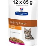 Hill's Prescription Diet K/D hovězí 12 x 85 g – Sleviste.cz