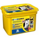 Horslyx Garlic 15 kg – Hledejceny.cz