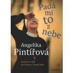 Pintířová Angelika - Padá mi to z nebe – Hledejceny.cz