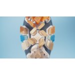 Philips Sonicare A3 Premium All-in-One HX9092/11 2 ks – Zboží Dáma