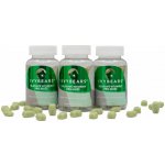IVY Bears vlasové vitamíny pro muže 180 ks – Hledejceny.cz
