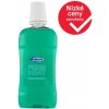 Ústní vody a deodoranty 4Dent Freshmint ústní voda 500 ml