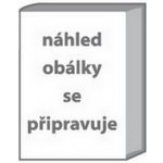 Discover English 4 Activity Book - Hearn Izabella – Zbozi.Blesk.cz
