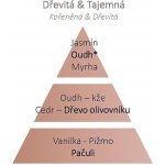 Maison Berger Paris náplň do katalytické lampy Under the Olive Tree Pod olivovníkem 500 ml – Zboží Mobilmania