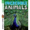 Kniha Read with Oxford: Stage 4: Non-fiction: Incredible Animals - Rob Alcraft