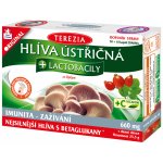 Terezia Company Hlíva ústřičná + laktobacily + vitamin C 60 kapslí – Hledejceny.cz