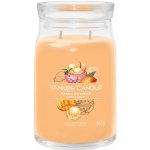 Yankee Candle Signature Mango Ice Cream 567 g – Zboží Mobilmania