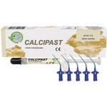 Cerkamed Calcipast 2,1 g -dočasná výplň – Hledejceny.cz