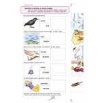 Předškolákovy týdeníčky pro chytré hlavičky - Martincová, Jana;Tautová, Věra – Zboží Dáma