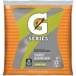 Gatorade Sportovní nápoj 595 g – Zboží Mobilmania