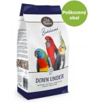 Dog Joy Adult Beef 100 g – Sleviste.cz