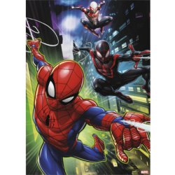 Obraz na plátně Spiderman & Friends 50x70 cm