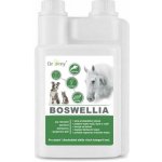 Dromy Boswellia liquid 1 l – Zboží Dáma