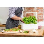 Click And Grow SmartGarden CNG SG3 GRE šedý – Zboží Mobilmania