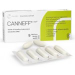 Cannef Sup rektální čípky 5 ks – Zbozi.Blesk.cz