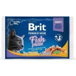 Brit Premium Cat Delicate Fillets in Gravy Cod fish Salmon and Trout 4 x 100 g – Sleviste.cz