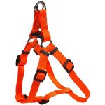 Bafpet Popruhové kšírky NEON – Zboží Mobilmania