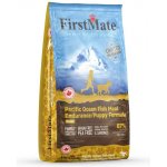 FirstMate Pacific Ocean Fish Endurance/Puppy 2 x 11,4 kg – Hledejceny.cz