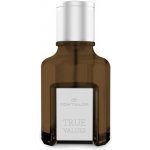 Tom Tailor True Values toaletní voda pánská 30 ml – Hledejceny.cz