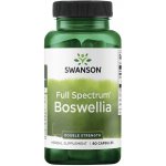 Swanson Boswellia Double Strenght 800 mg 60 kapslí – Hledejceny.cz