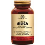 Solgar Oceanic Silica 25 mg 50 kapslí – Hledejceny.cz