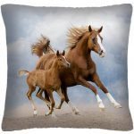 MyBestHome Print Polštář s motivem koně 32 40x40 – Sleviste.cz