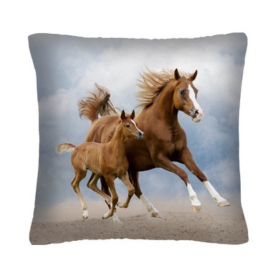 MyBestHome Print Polštář s motivem koně 32 40x40 – Sleviste.cz