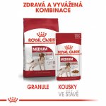 ROYAL CANIN MEDIUM Adult mokré pro středně velké psy 10 x 140 g – Hledejceny.cz
