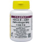 Sinecura BWM4.9-1439 ganluyin 60 tablet – Hledejceny.cz