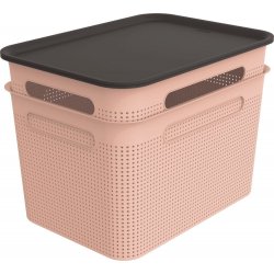 Rotho Brisen Set box s víkem 2x 16L růžová