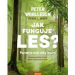 Jak funguje les? Poznejte svět díky lesům - Úžasné postřehy o lese, lidech i naší budoucno – Sleviste.cz