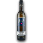 Peiserhof Sauvignon Blanc Klassik 2022 Trocken Weststeiermark DAC 12,5% 0,75 l (holá láhev) – Hledejceny.cz