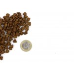 Marp Holistic Chicken CAT kuřecí bez obilovin 2 kg – Zbozi.Blesk.cz