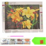 Malování s korálky 30x40cm sada 1 motiv +sada korálků+přenosné pero 272053 – Hledejceny.cz