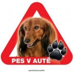 Grel nálepka na sklo pozor pes v autě jezevčík dlouhosrstý – Zbozi.Blesk.cz