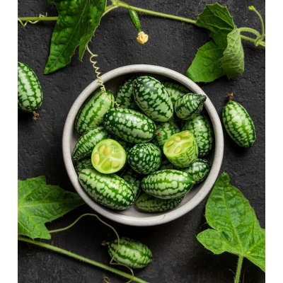 Mexická mini okurka Melothria scabra prodej semen 5 ks – Sleviste.cz