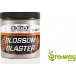 Grotek Blossom Blaster 20 g – Hledejceny.cz