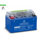 Ampera YTX10S-BS | Zboží Auto