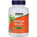 Now Foods Ginkgo Biloba 60 mg 240 kapslí – Hledejceny.cz