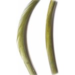 Veniard Husí Biots Goose Biot Strips Olive Dun – Hledejceny.cz