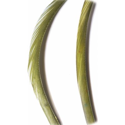 Veniard Husí Biots Goose Biot Strips Olive Dun – Hledejceny.cz