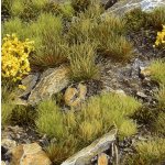 Dekorace GamersGrass Highland Tuft Set – Zboží Živě