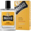 Proraso Wood and Spice kolínská voda pánská 100 ml