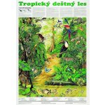 Plakát - Tropický deštný les – Hledejceny.cz