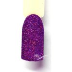 NL nails professional GLITTER LASER purple – Hledejceny.cz