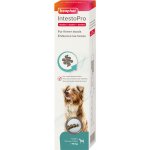 Pasta Beaphar IntestoPro pro psy nad 15 kg 2 x 20 ml – Hledejceny.cz